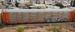 BNSF 25599 BNSF 303029